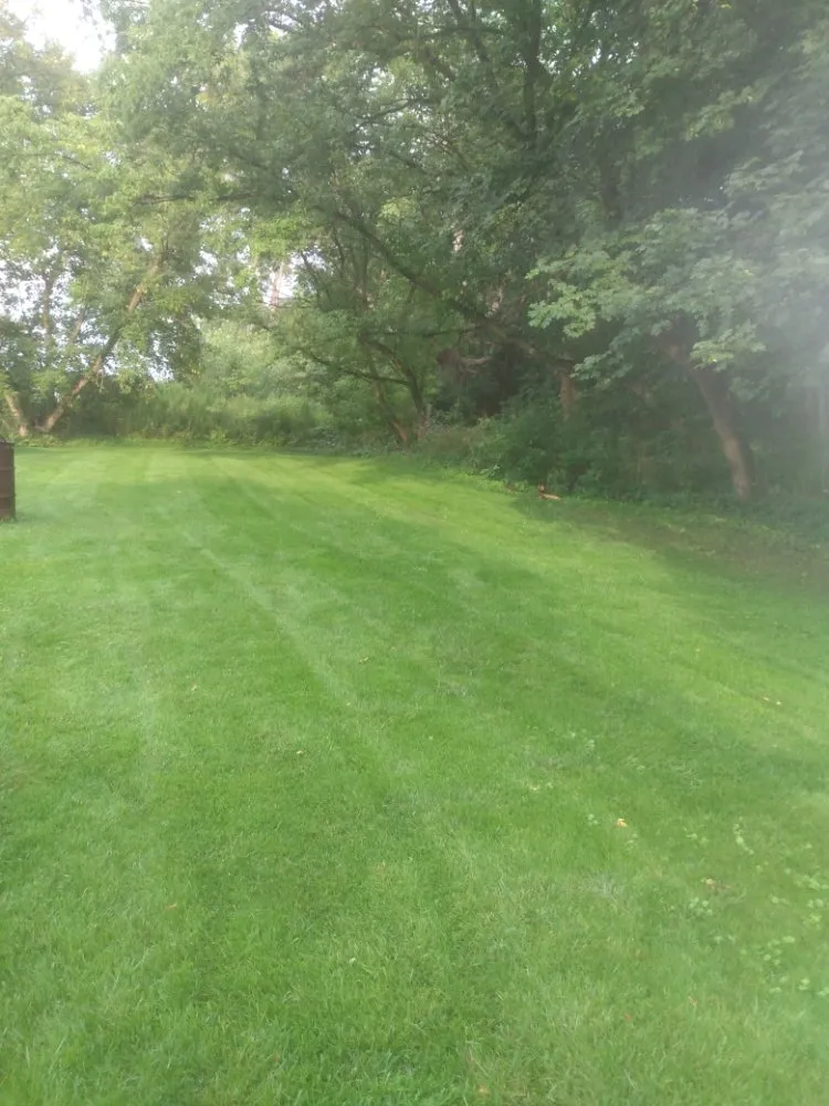 Affordable landscape design for outdoor upgrades in Big Flats, NY by Banner's Mowing