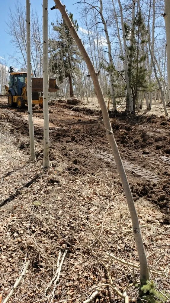 Affordable landscaping services in Hartsel, CO by Banning Enterprises