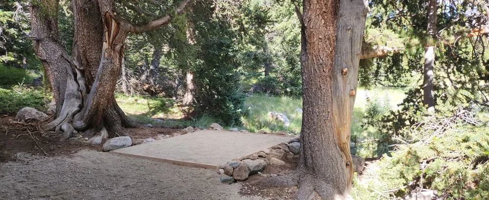 Top-rated yard cleanup service experts serving Hartsel, CO - Banning Enterprises