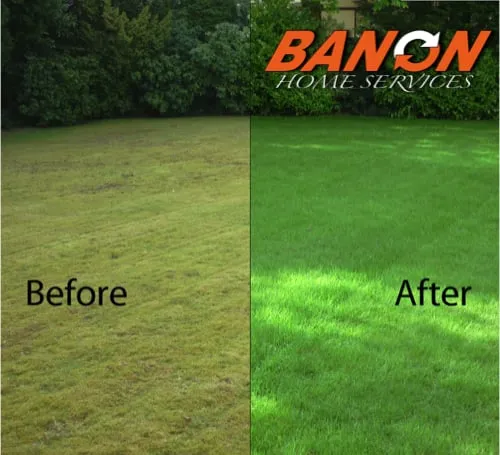 Trusted landscaping services experts serving Plainfield, IL - Banon Home Services