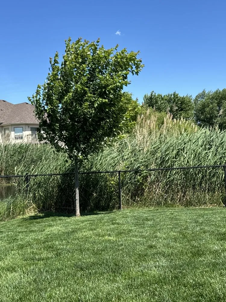 Custom lawn care service in Grimes, IA - Banta's Quality Lawn Care