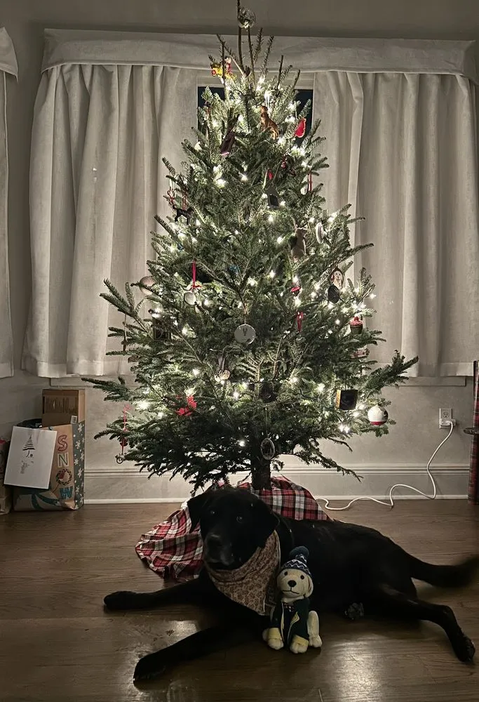 Reliable residential landscaping in Bridge City, LA - Banting's Nursery