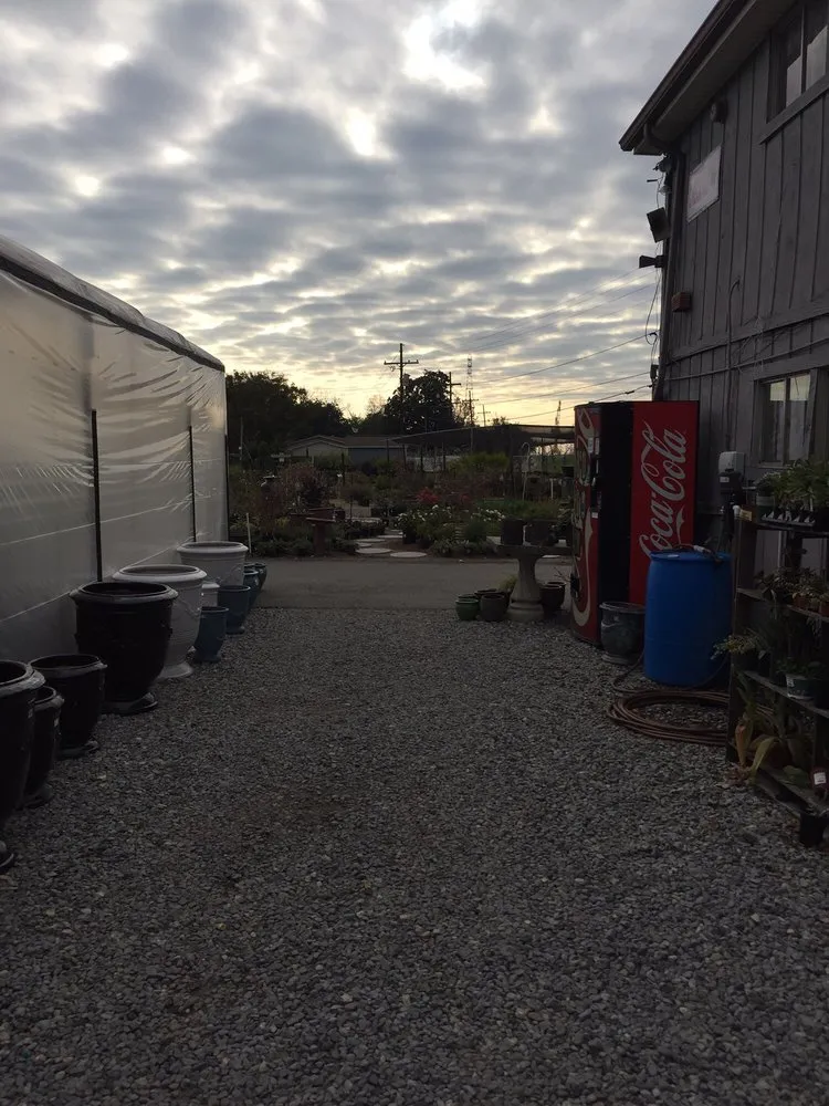 Professional lawn care service for residential properties across Bridge City, LA - Banting's Nursery