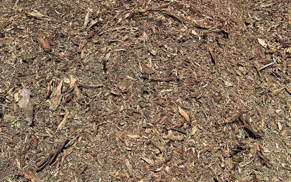 Custom landscaping services experts serving Bridge City, LA - Banting's Nursery