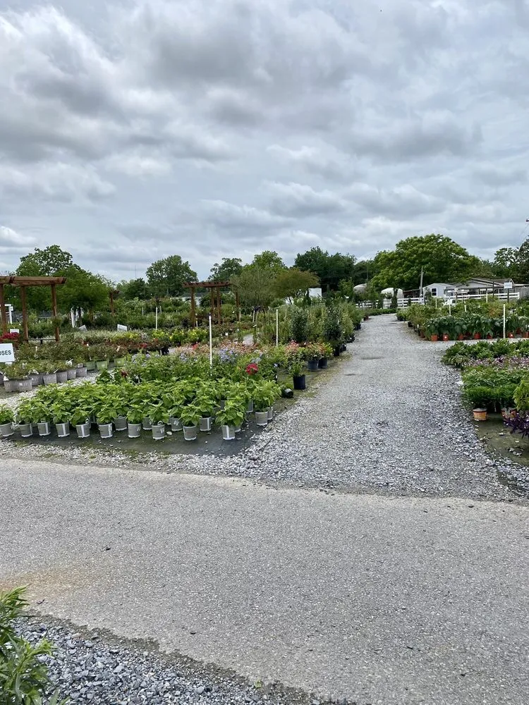 Professional outdoor landscaping in Bridge City, LA by Banting's Nursery