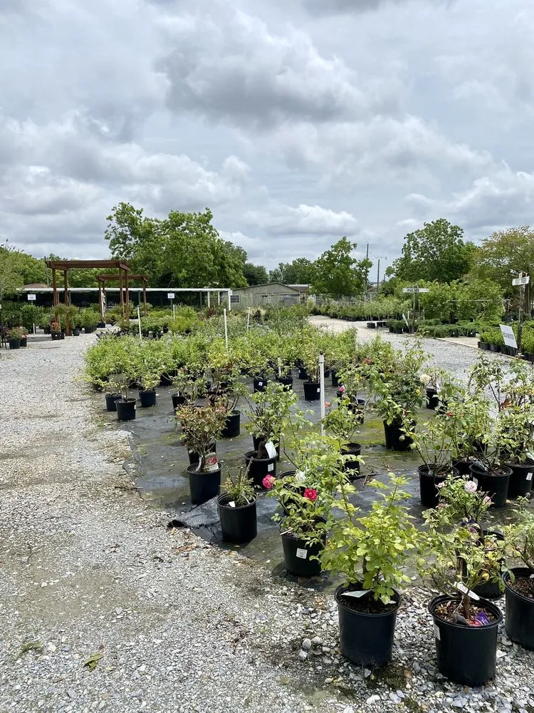 Affordable lawn care service in Bridge City, LA - Banting's Nursery