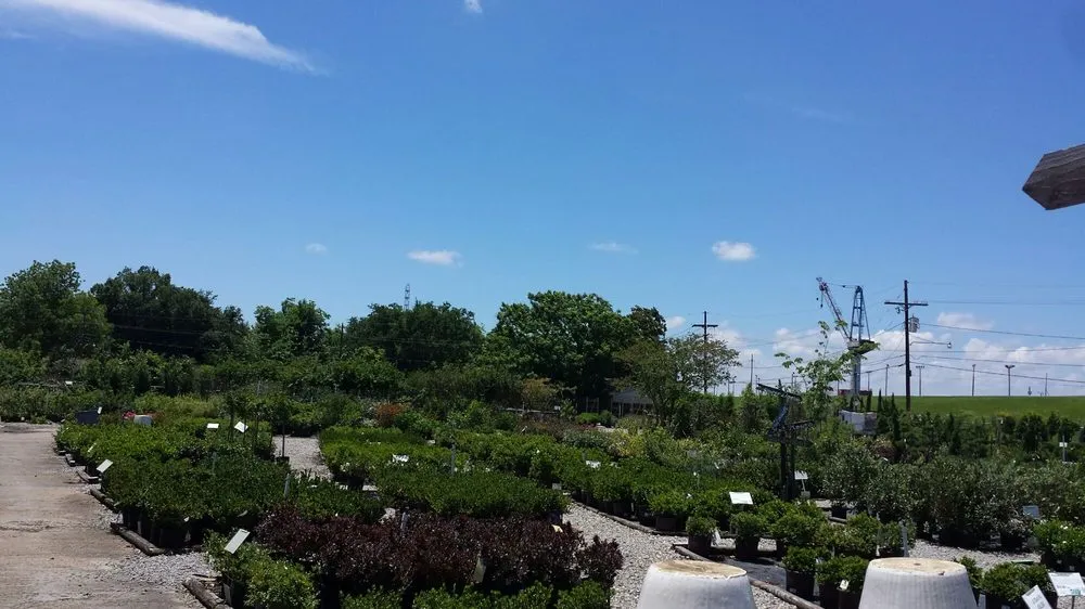 Reliable lawn care service in Bridge City, LA by Banting's Nursery