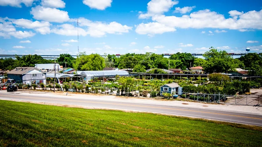 Affordable residential landscaping in Bridge City, LA - Banting's Nursery