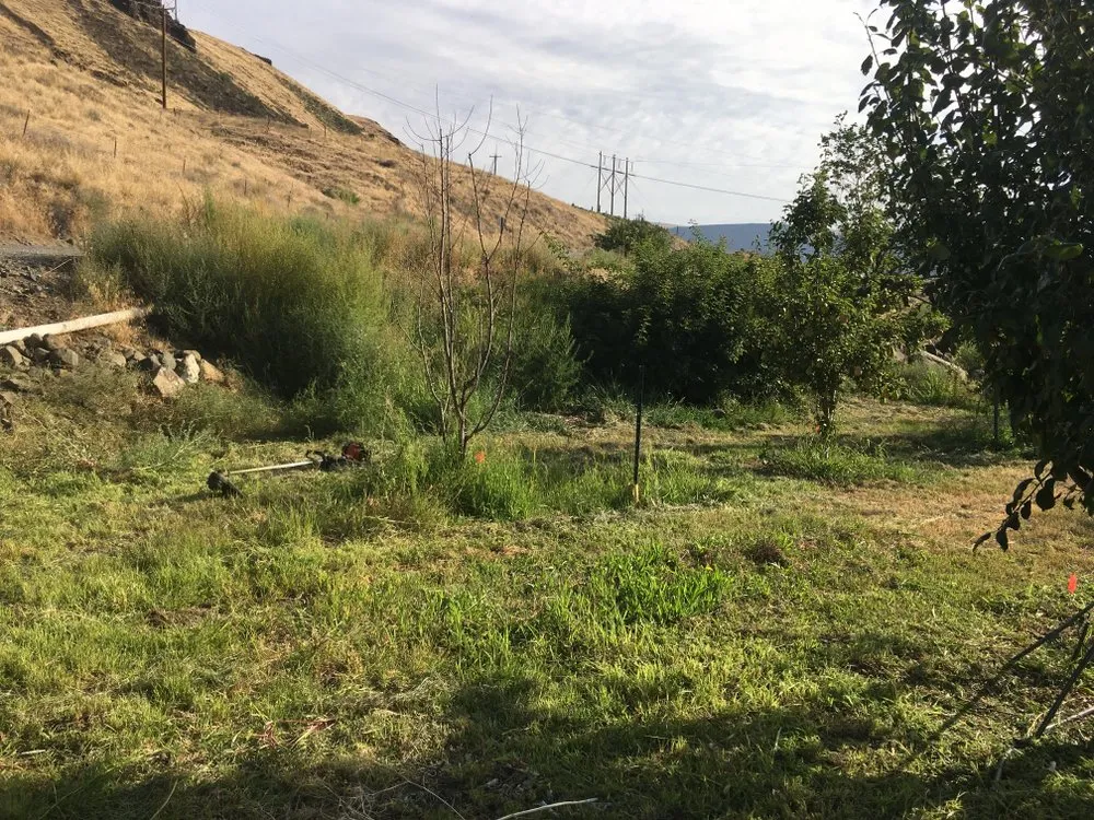 Expert landscaping services experts serving Wenatchee, WA - Banuelos Landscaping