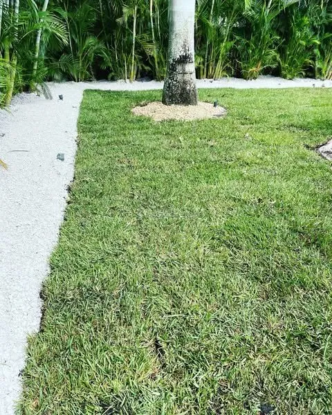 Custom garden landscaping near you in North Fort Myers, FL by Banyan Landscaping & Tree Services