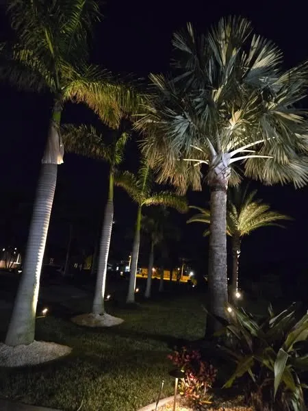 Top-rated garden landscaping in North Fort Myers, FL - Banyan Landscaping & Tree Services