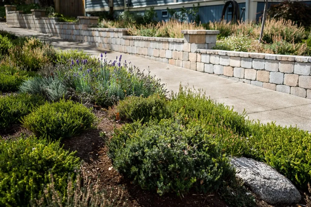 Top-rated garden landscaping experts serving Ashland, OR - Banyan Tree Landscape Construction