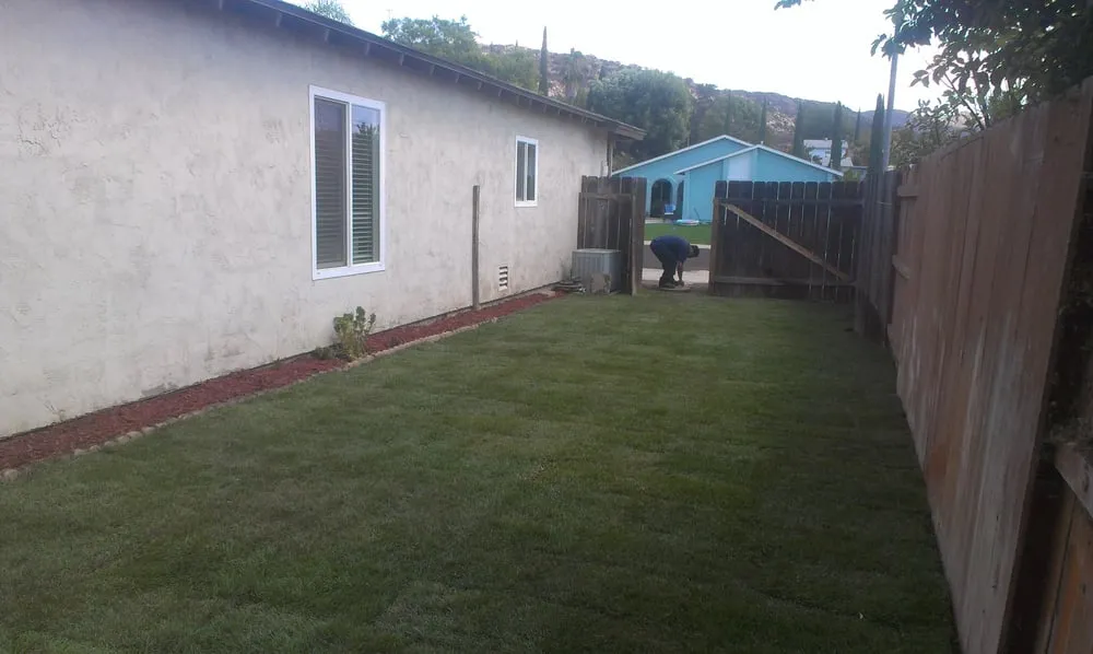 Expert yard maintenance in San Diego, CA - Banyan's Landscaping Maintenance