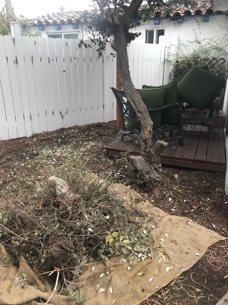 Expert landscaping services for residential properties in San Diego, CA by Banyan's Landscaping Maintenance