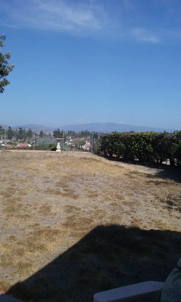 Professional yard maintenance in San Diego, CA by Banyan's Landscaping Maintenance