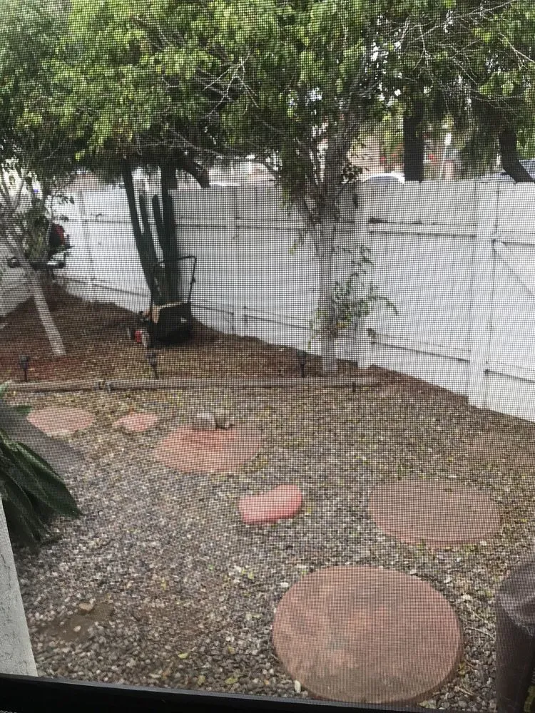 Professional garden landscaping in San Diego, CA - Banyan's Landscaping Maintenance