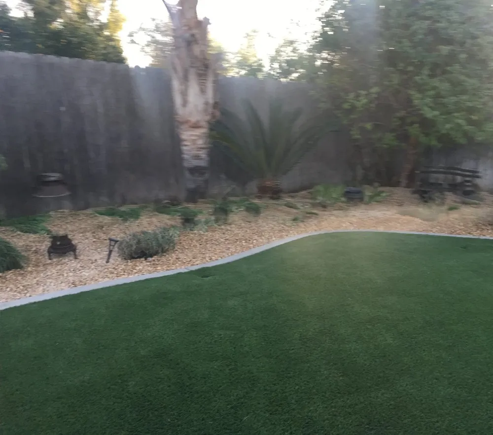 Reliable yard cleanup service for homes across San Diego, CA - Banyan's Landscaping Maintenance