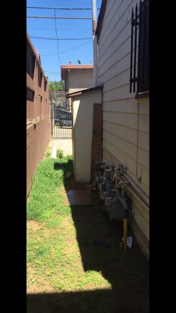 Professional lawn care service in San Diego, CA by Banyan's Landscaping Maintenance