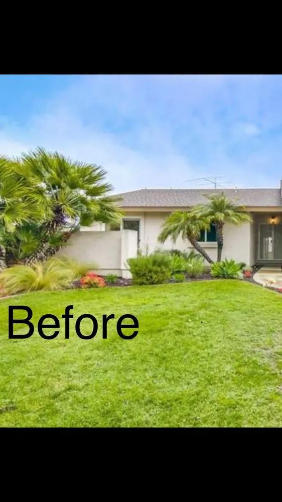 Local yard maintenance in San Diego, CA - Banyan's Landscaping Maintenance