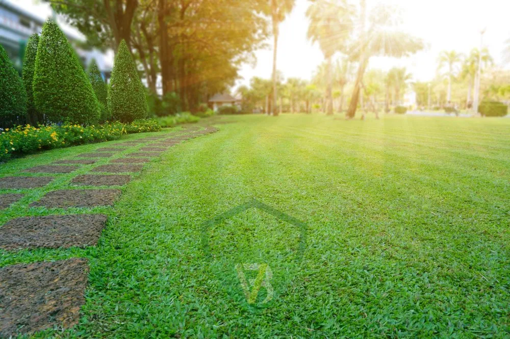 Professional residential landscaping experts serving Aurora, CO - Bao Vo Landscaping