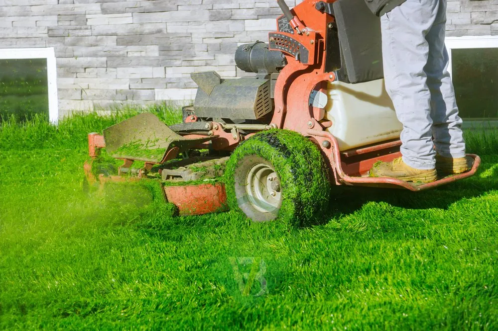 Local yard cleanup service for residential properties across Aurora, CO - Bao Vo Landscaping