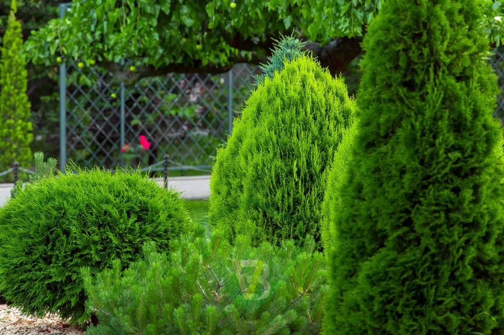 Expert landscape installation experts serving Aurora, CO - Bao Vo Landscaping