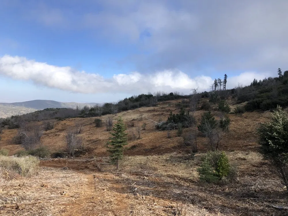 Professional landscape installation for year-round maintenance across Ramona, CA - Bar D Bar Landworks