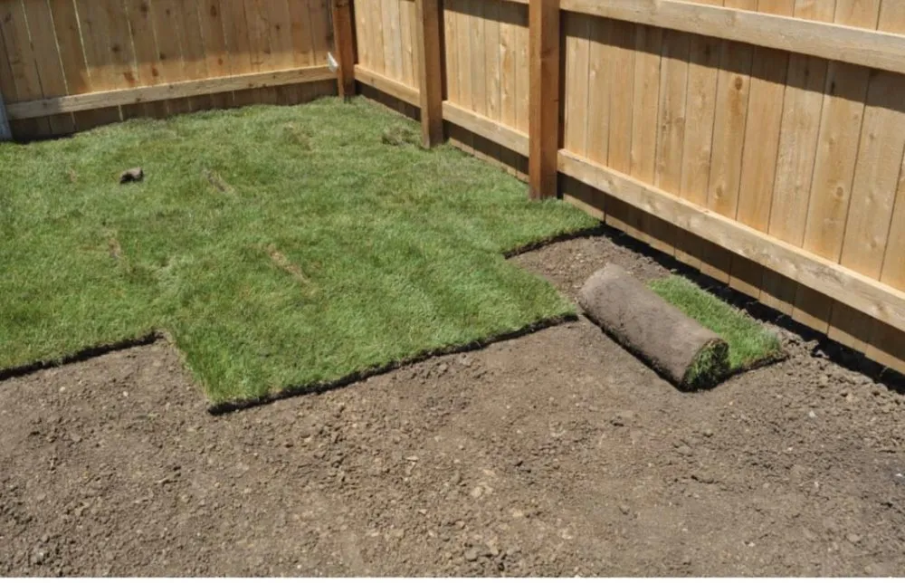 Reliable yard cleanup service in Rock Hill, SC - Bar Design & Build