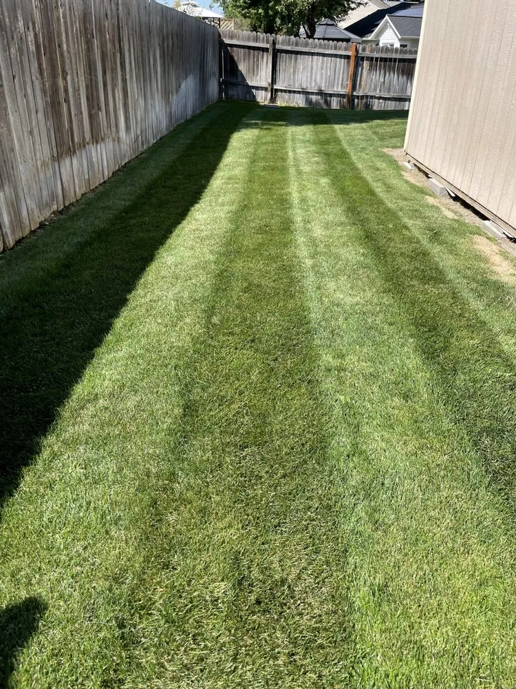 Professional lawn care service in Boise City, ID - Bar OX Lawn Service & Yard Construction