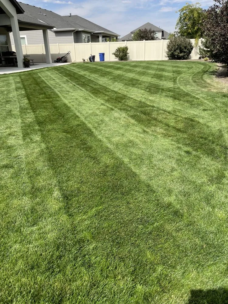 Reliable lawn care service experts serving Boise City, ID - Bar OX Lawn Service & Yard Construction