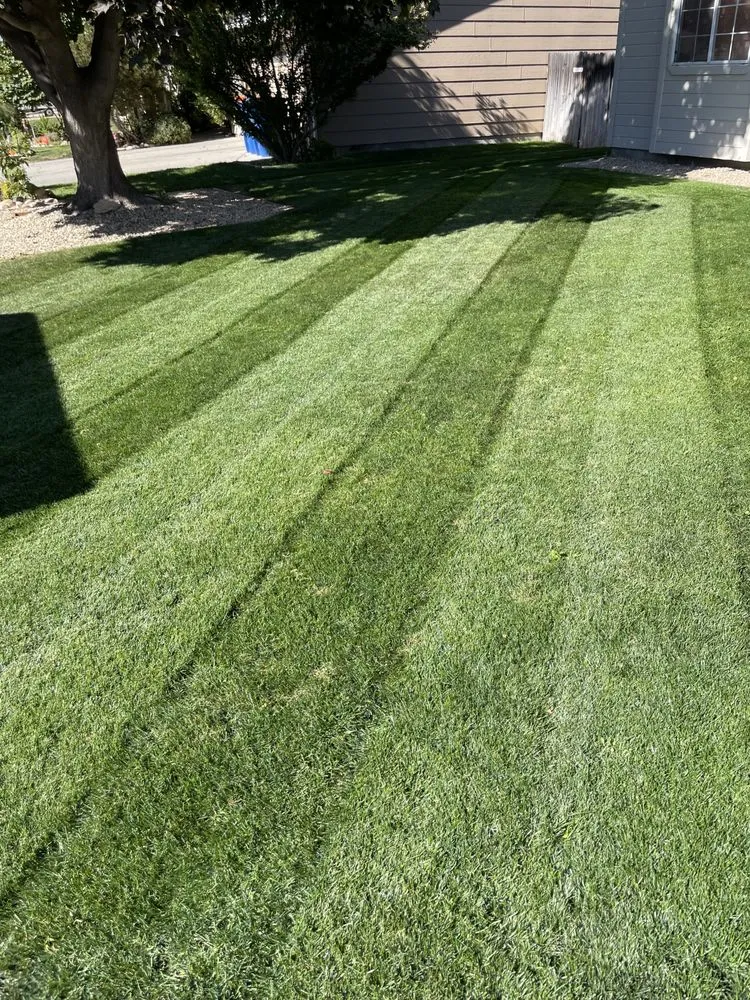 Top-rated lawn mowing service experts serving Boise City, ID - Bar OX Lawn Service & Yard Construction
