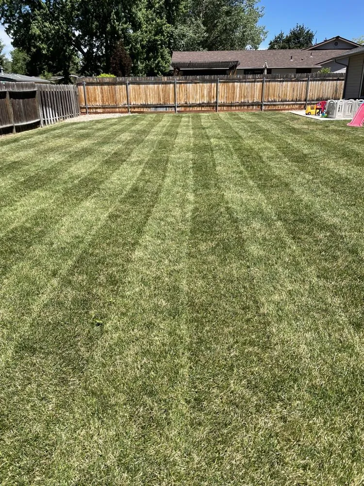 Top-rated landscaping services near you in Boise City, ID by Bar OX Lawn Service & Yard Construction