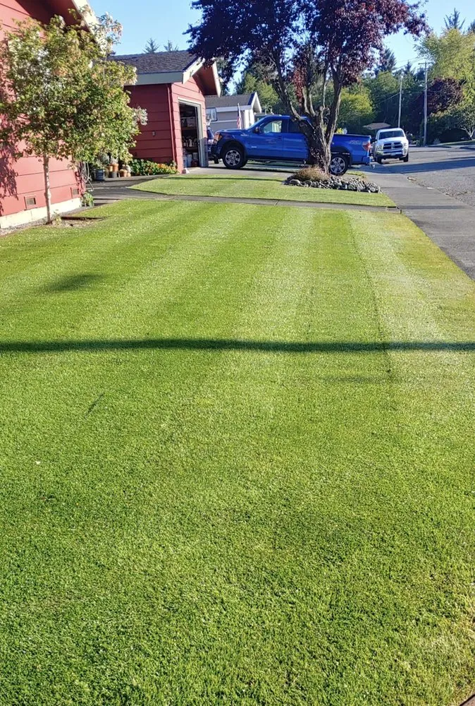 Reliable landscaping services in Boise City, ID - Bar OX Lawn Service & Yard Construction