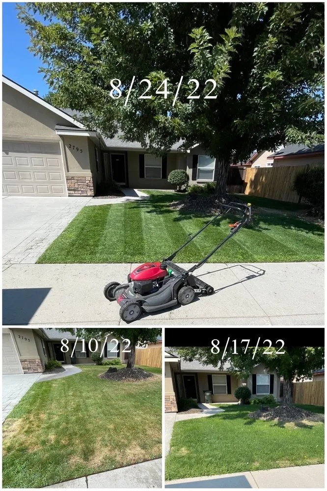 Local landscape installation experts serving Boise City, ID - Bar OX Lawn Service & Yard Construction