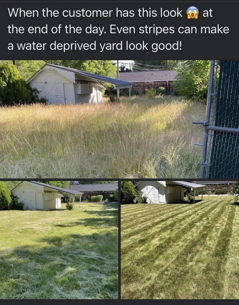 Local landscape design in Boise City, ID by Bar OX Lawn Service & Yard Construction