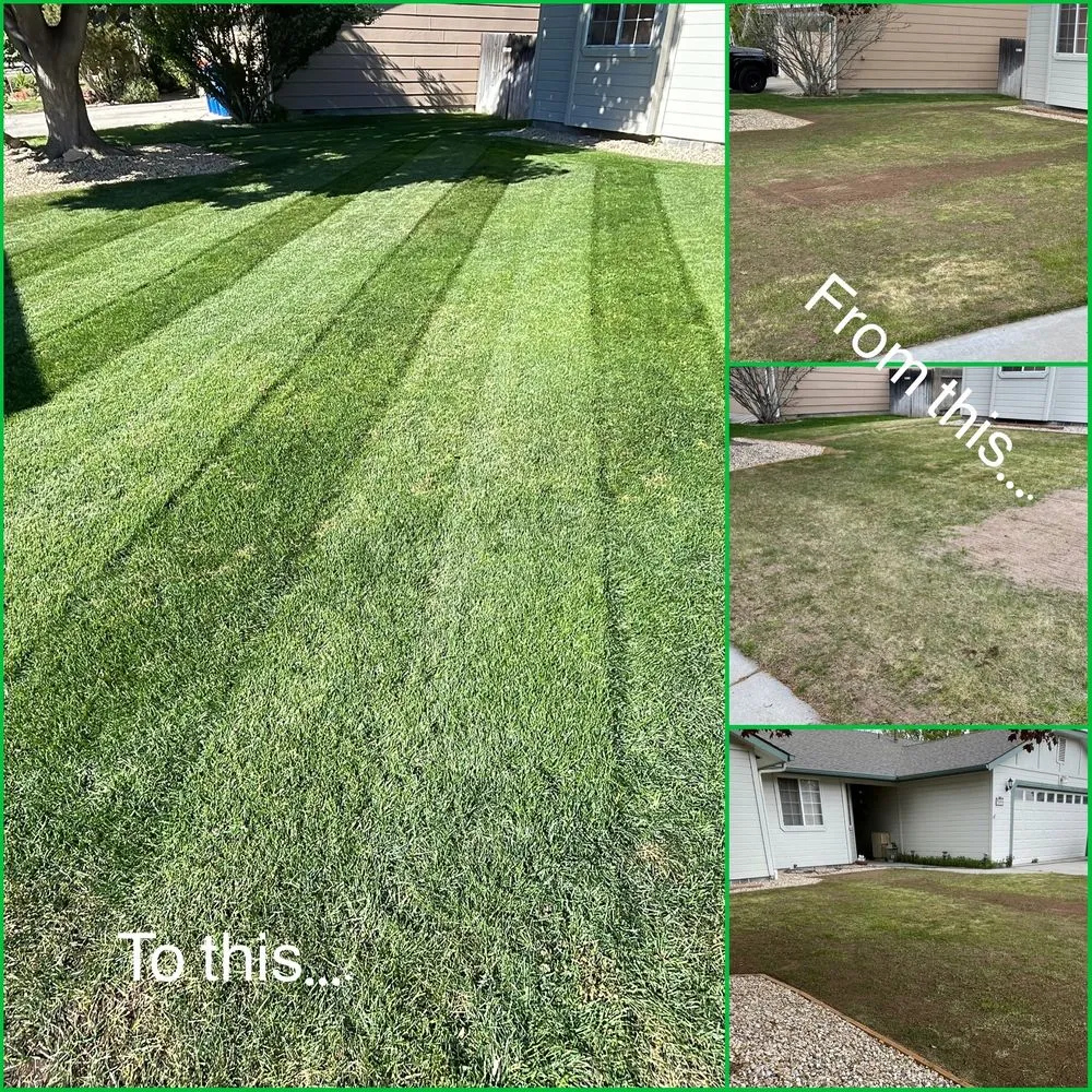 Expert residential landscaping in Boise City, ID by Bar OX Lawn Service & Yard Construction