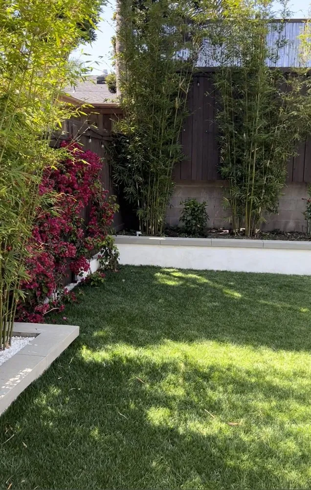 Expert yard cleanup service in Laguna Hills, CA by Baraca Remodeling