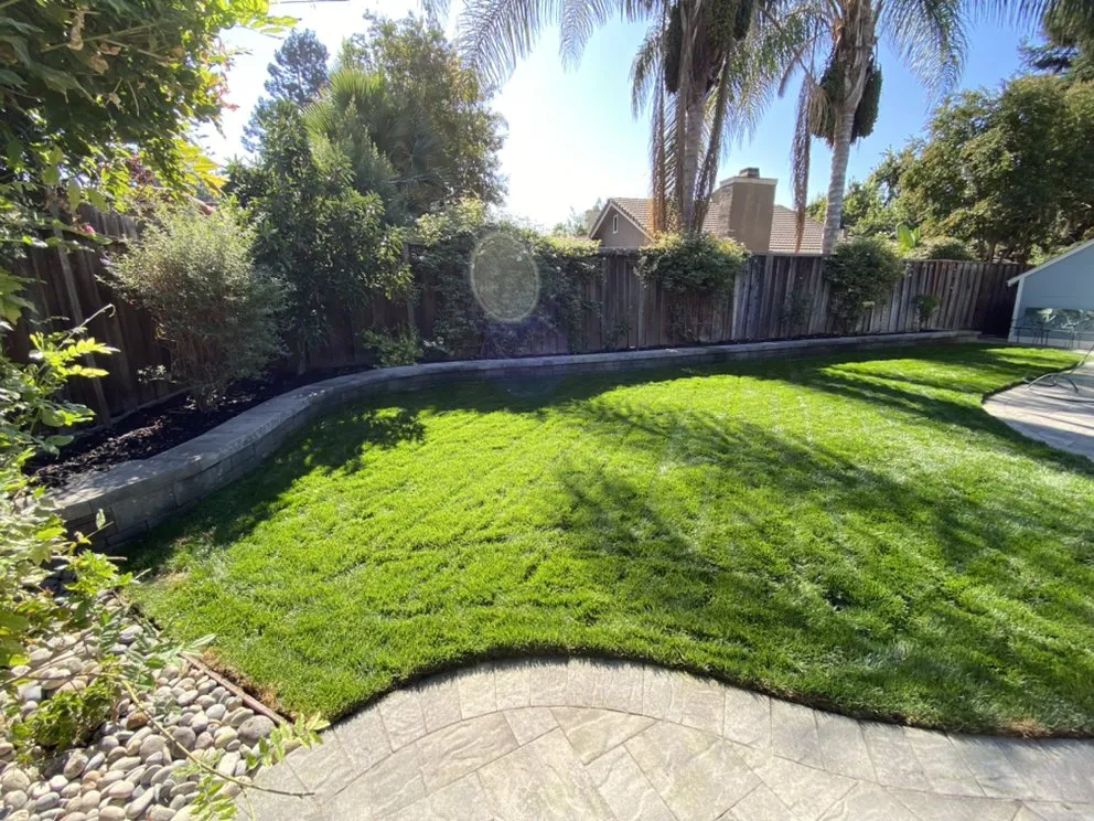 Affordable residential landscaping for year-round maintenance across San Francisco Bay Area, CA - Barajas Garden Service