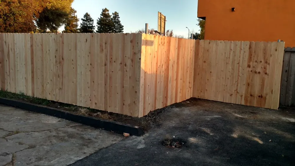 Expert yard maintenance in San Francisco Bay Area, CA by Barajas Garden Service