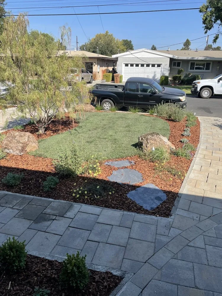 Expert landscape design in San Francisco Bay Area, CA by Barajas Garden Service