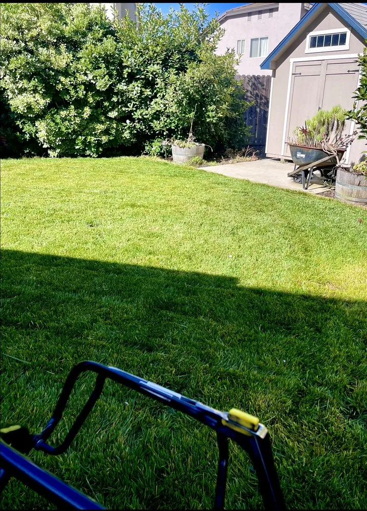 Trusted landscape installation experts serving Woodland, CA - Barajas Landscape