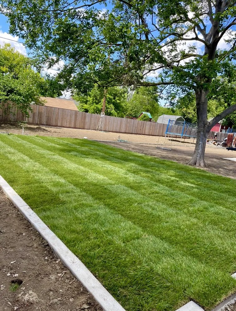 Custom yard maintenance for homes across Woodland, CA - Barajas Landscape