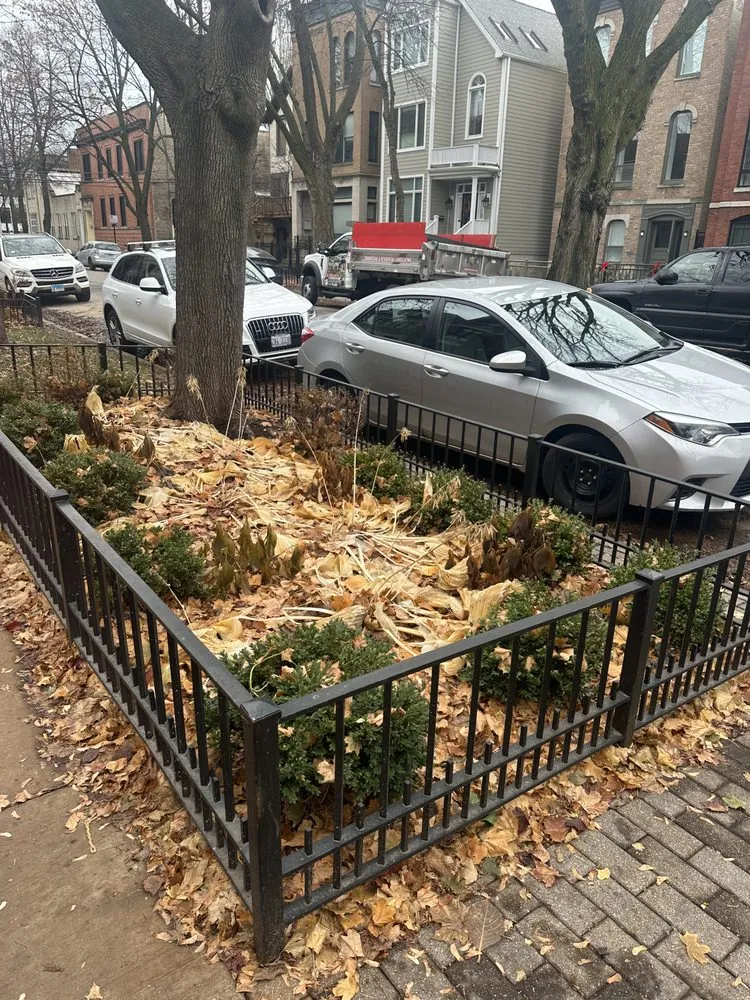 Local yard cleanup service experts serving Cicero, IL - Barajas Landscaping and Snow Removal