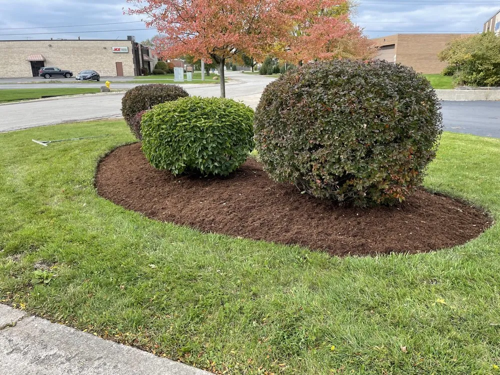 Local yard cleanup service for homes in Cicero, IL by Barajas Landscaping and Snow Removal