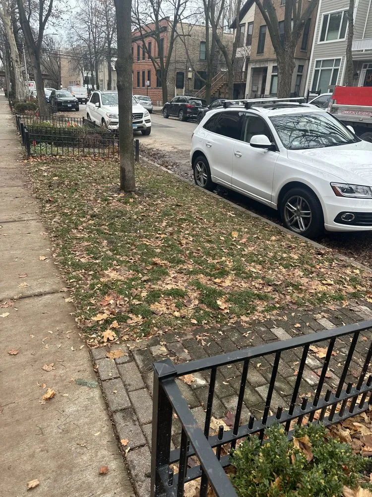 Affordable outdoor landscaping experts serving Cicero, IL - Barajas Landscaping and Snow Removal