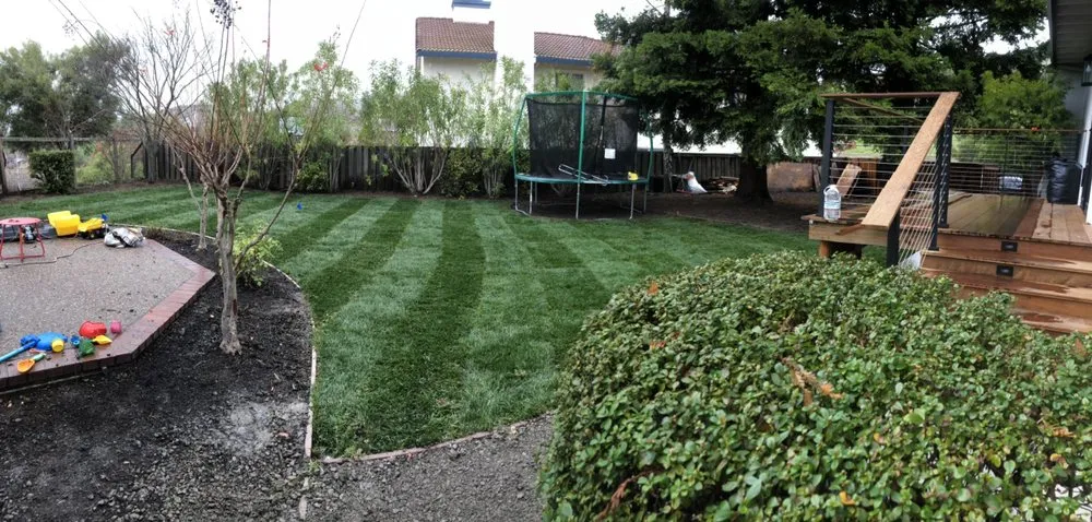 Top-rated yard cleanup service in Walnut Creek, CA - Barajas Landscaping