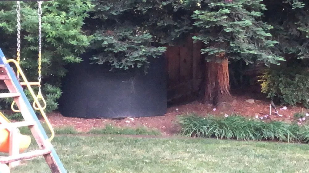 Trusted lawn care service in Walnut Creek, CA - Barajas Landscaping