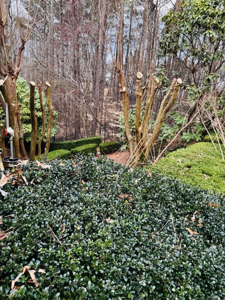 Expert landscape installation in Chamblee, GA by Barajas Tree Services & Landscaping