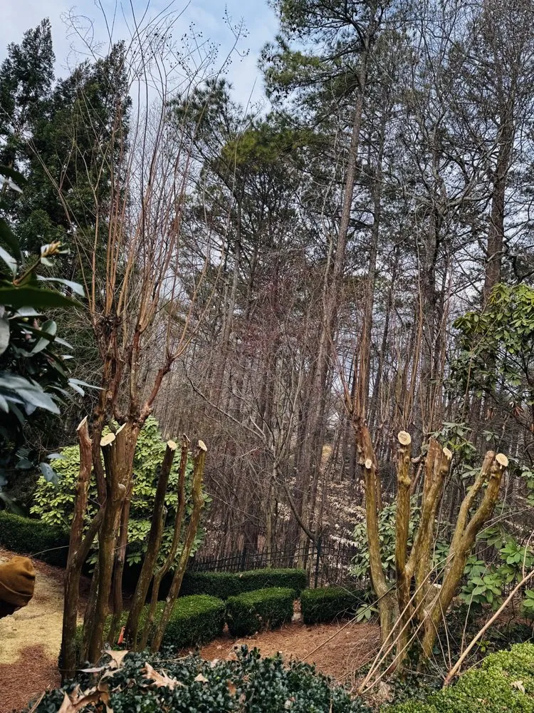 Trusted lawn care service in Chamblee, GA - Barajas Tree Services & Landscaping