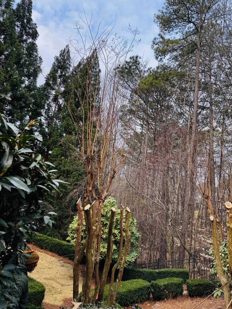 Reliable garden landscaping in Chamblee, GA - Barajas Tree Services & Landscaping